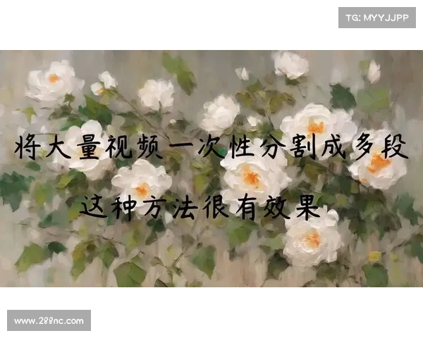 强效位面精华的全面解析与高效使用技巧指导 强效位面精华的全面解析与高效使用技巧指导