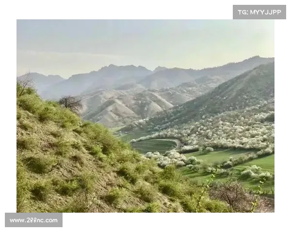 详细图文教学手把手教你从零开始进入以朱雀天境探索完整攻略 详细图文教学手把手教你从零开始进入以朱雀天境探索完整攻略
