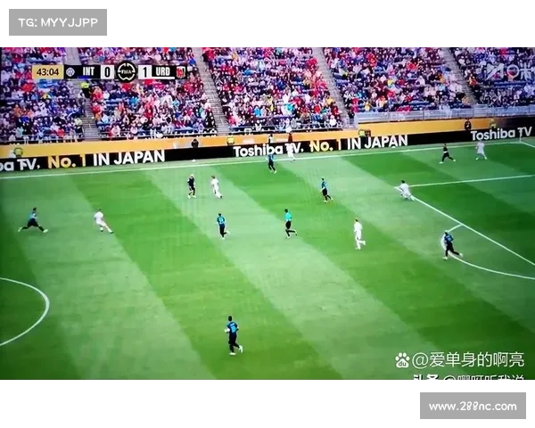 如何全面理解浦和红钻在亚冠赛场中的综合竞争实力深度解读与详析