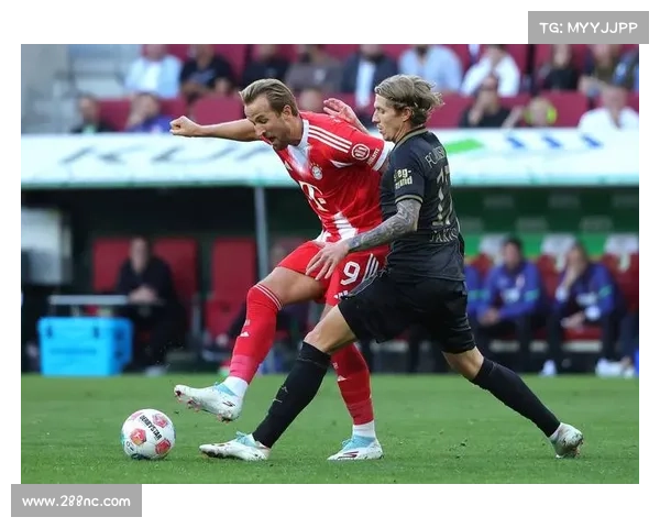 拜仁体育场：命名的传承与荣耀