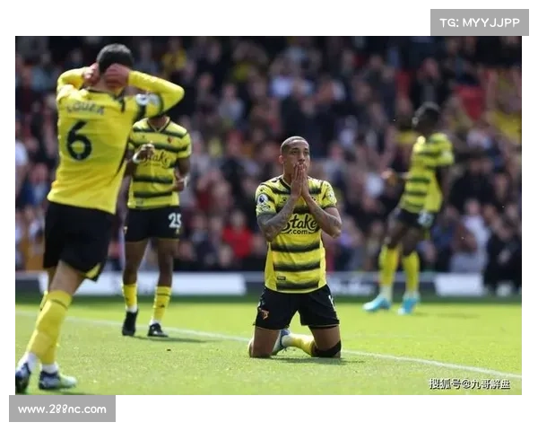 探秘英冠赛事背后的精彩故事与激烈角逐探索